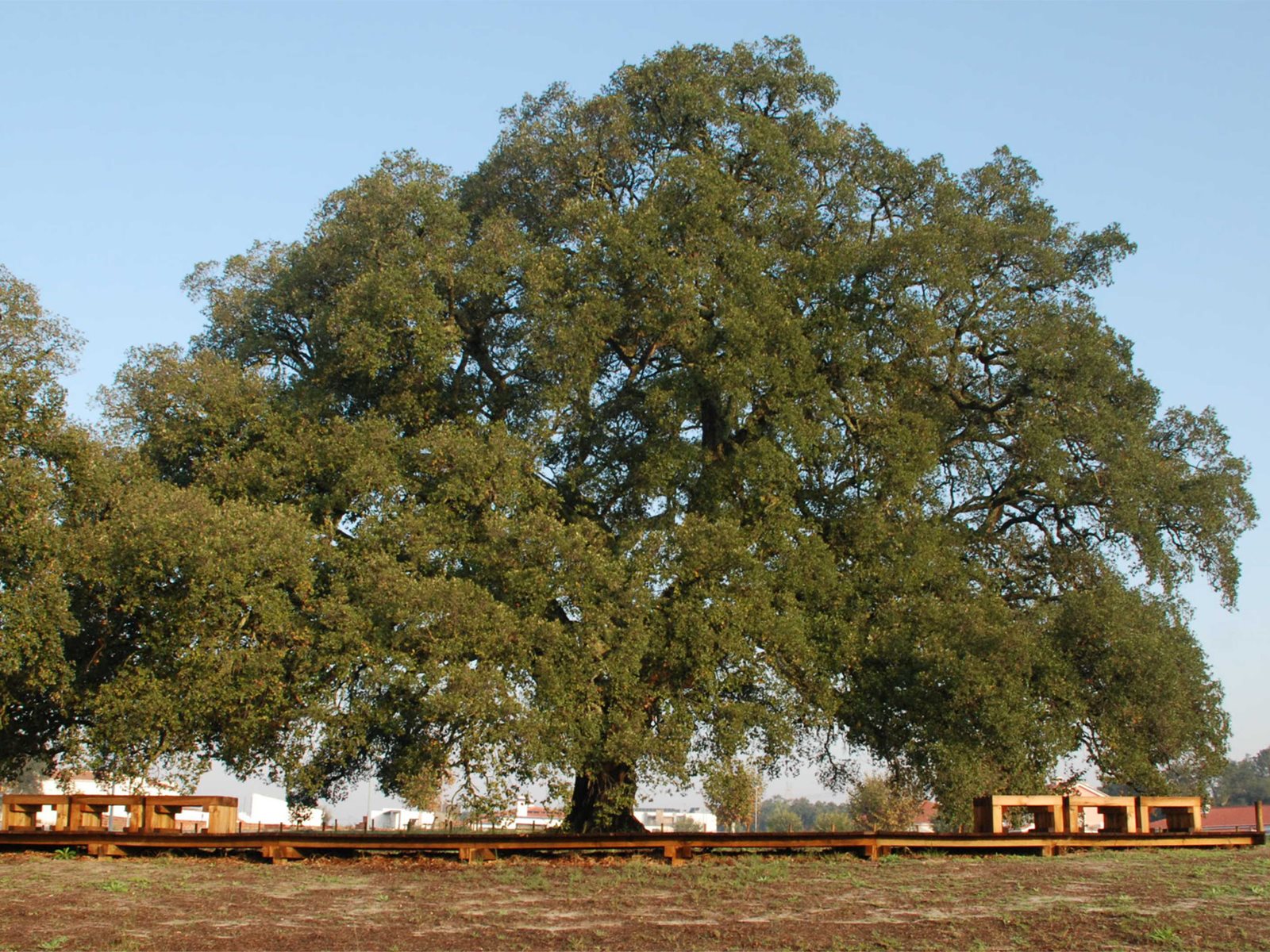 94900b